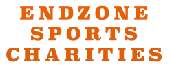 Endzone Sports Logo Charities Mobile